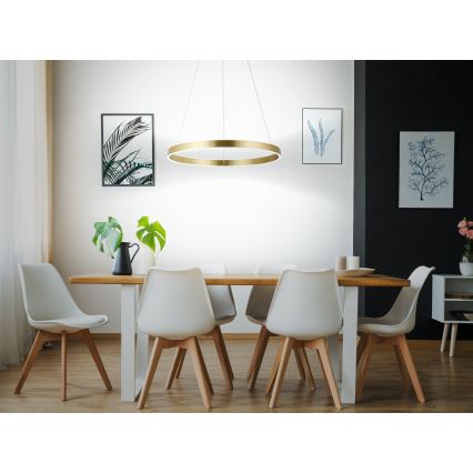 Eglo 33484 - LED Lustr na lanku ALCAZABA 2xLED/18W/230V 3000K pr. 55 cm zlatá