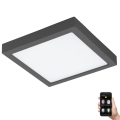 Eglo 33578- LED Stmívatelné koupelnové svítidlo ARGOLIS-C LED/22W/230V IP44 antracit