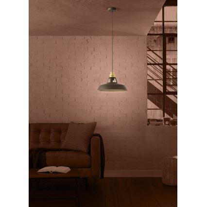 Eglo - Lustr na lanku 1xE27/40W/230V černá/zlatá