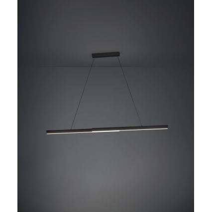 Eglo - LED Stmívatelný lustr na lanku LED/20W/230V 3000K černá