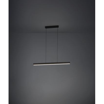 Eglo - LED Stmívatelný lustr na lanku LED/20W/230V 3000K černá