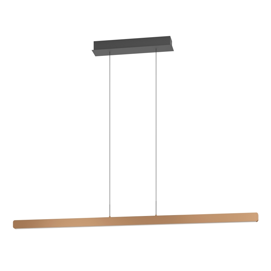 Eglo - LED Stmívatelný lustr na lanku LED/30W/230V 2200-6500K zlatá + dálkové ovládání