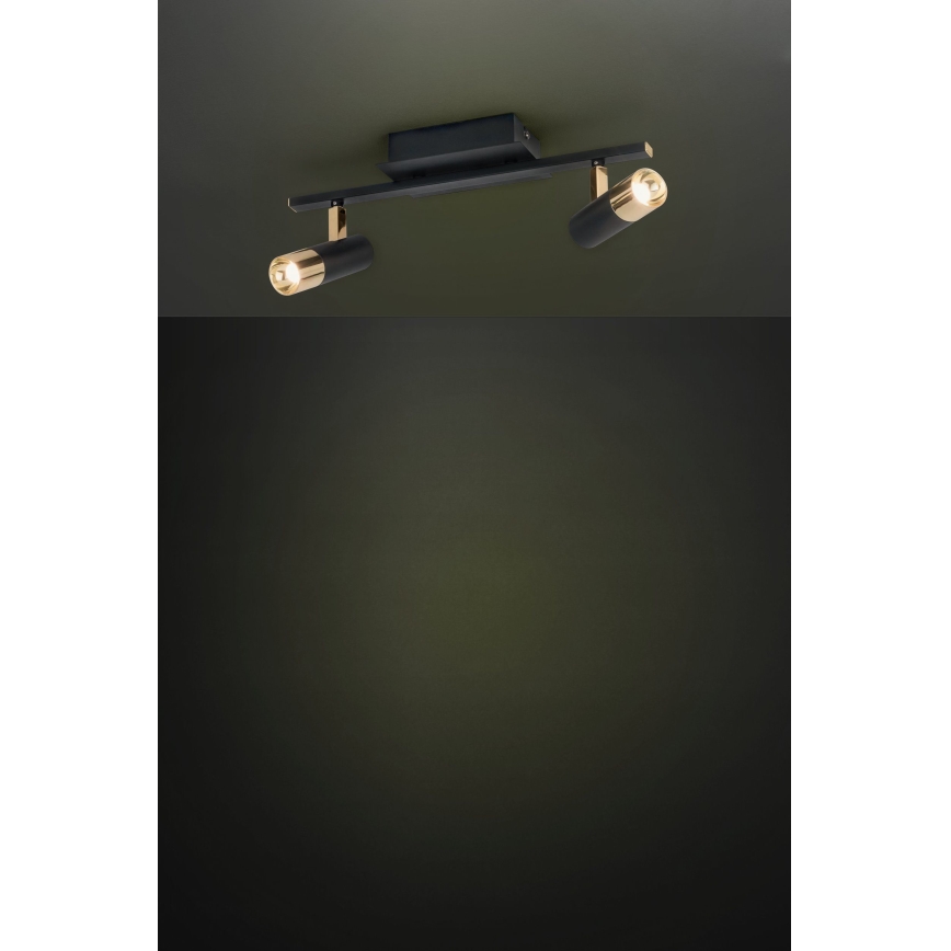Eglo - LED bodové svítidlo 2xLED/5W/230V/12V