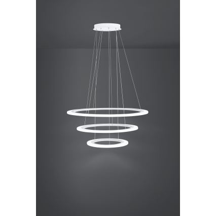 Eglo - LED Stmívatelný lustr na lanku 1xLED/45W/230V + 1xLED/33W + 1xLED/19,5W