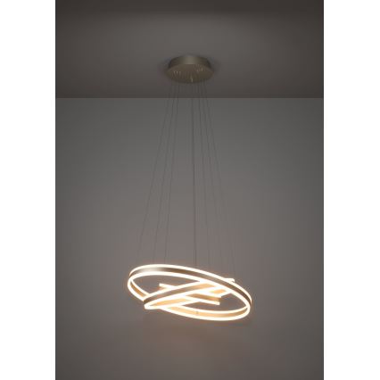 Eglo - LED Stmívatelný lustr na lanku LED/78W/230V + LED/70W + LED/34W