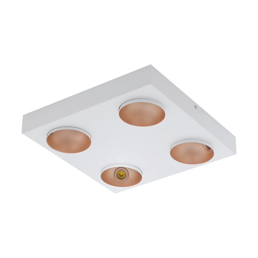 Eglo - LED Stmívatelné stropní svítidlo 4xLED/3,3W/230V