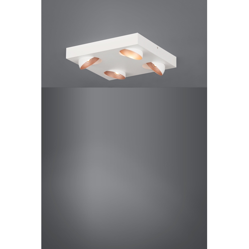 Eglo - LED Stmívatelné stropní svítidlo 4xLED/3,3W/230V