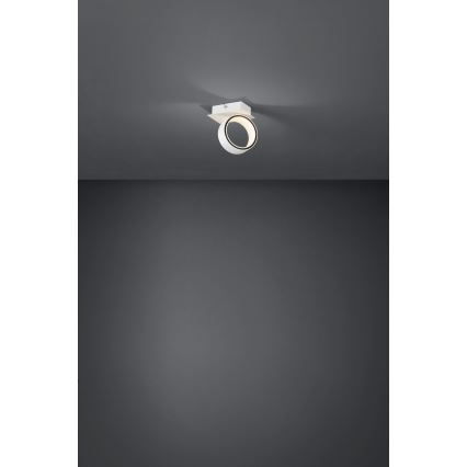 Eglo - LED Bodové svítidlo LED/4,6W/230V 3000K
