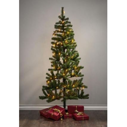 Eglo - LED Venkovní  řetěz 80xLED 10,5m IP44 teplá bílá