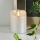 Eglo 411502 - LED Svíčka FLAMME RUSTIC LED/2xAA stříbrná
