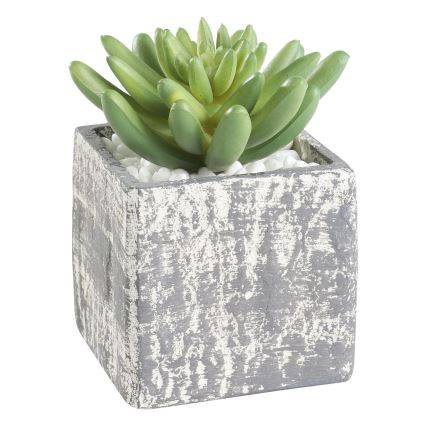 Eglo - Umělá rostlina v květináči 12x7,5 cm sukulent
