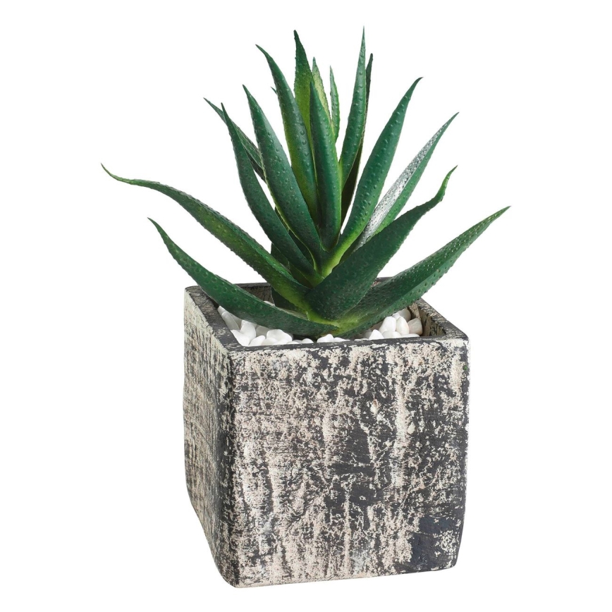 Eglo - Umělá rostlina v květináči 13x9,5 cm sukulent