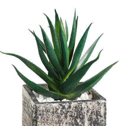 Eglo - Umělá rostlina v květináči 13x9,5 cm sukulent