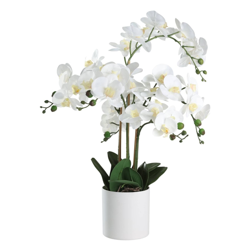 Eglo - Umělá rostlina v květináči 65x50 cm orchidej