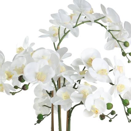 Eglo - Umělá rostlina v květináči 65x50 cm orchidej