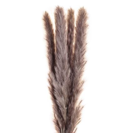 Eglo - Sušená květina 60 cm fialová