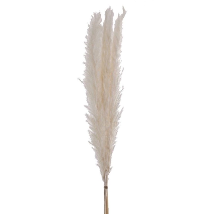 Eglo - Sušená květina 70 cm bílá