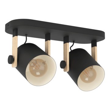 Eglo 43557 - Bodové svítidlo HORNWOOD 2xE27/28W/230V černá