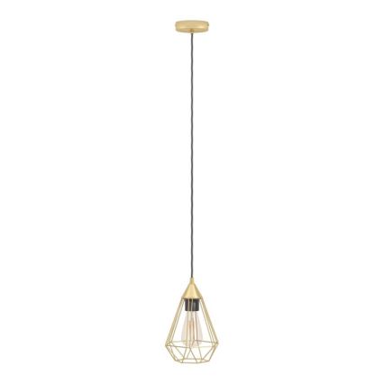 Eglo - Lustr na lanku 1xE27/60W/230V pr. 17,5 cm