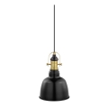 Eglo 49693 - Lustr GILWELL 1xE27/60W