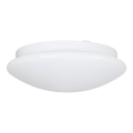 Eglo 68317 - Koupelnové stropní svítidlo ELLA PROJEKT 1xE27/20W/230V IP44 pr. 30 cm