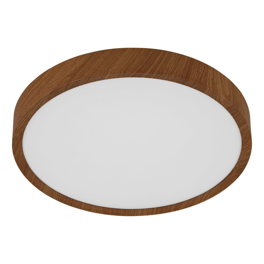Eglo - LED Stropní svítidlo LED/14,6W/230V