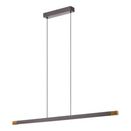 Eglo - LED Stmívatelný lustr na lanku LED/18W/230V 3000K