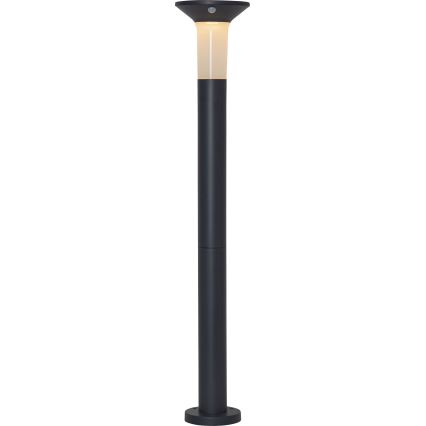 Eglo - LED Venkovní solární lampa se senzorem 6xLED/0,03W/3,7V 1500 mAh IP44