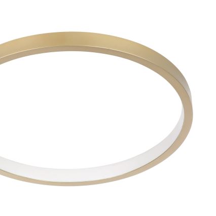 Eglo - LED Stmívatelné stropní svítidlo LED/15W/230V zlatá + dálkové ovládání