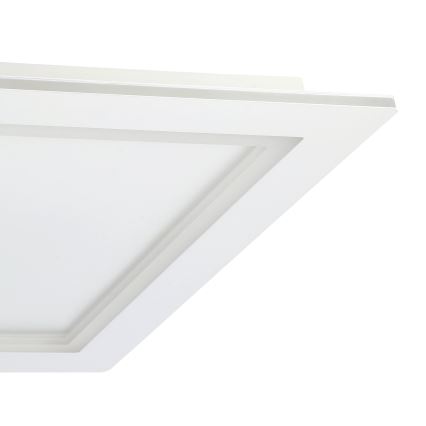 Eglo - LED RGBW Stmívatelné stropní svítidlo LED/35,5W/230V