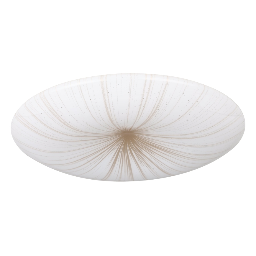 Eglo - LED Stropní svítidlo LED/10W/230V