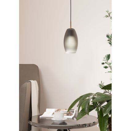 Eglo - Lustr na lanku 1xE27/40W/230V
