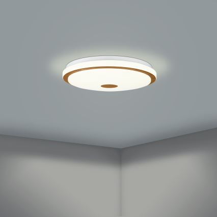 Eglo - LED Stmívatelné stropní svítidlo LED/24W/230V + dálkové ovládání