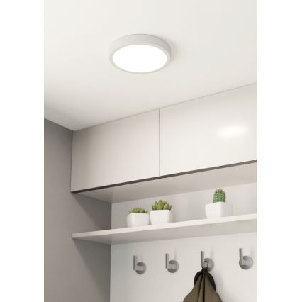 Eglo - LED Koupelnové stropní svítidlo LED/17W/230V bílá IP44