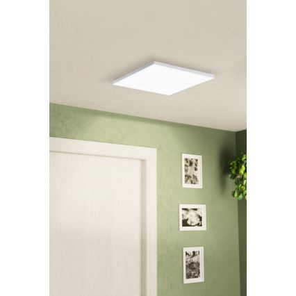 Eglo - LED Stropní svítidlo LED/10,8W/230V