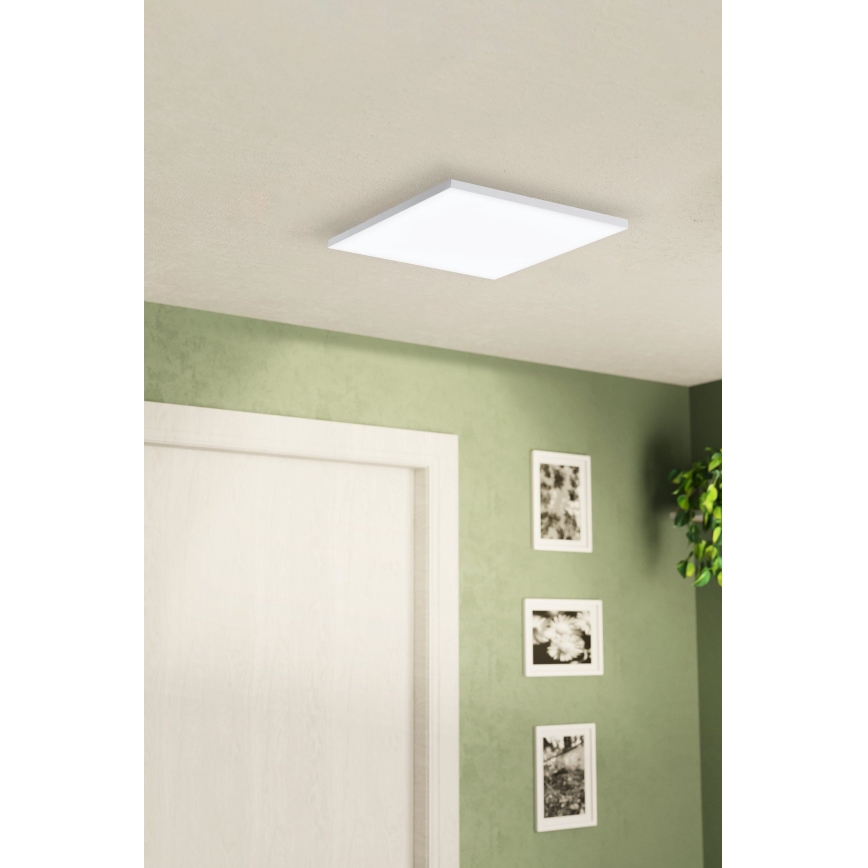 Eglo - LED Stropní svítidlo LED/10,8W/230V