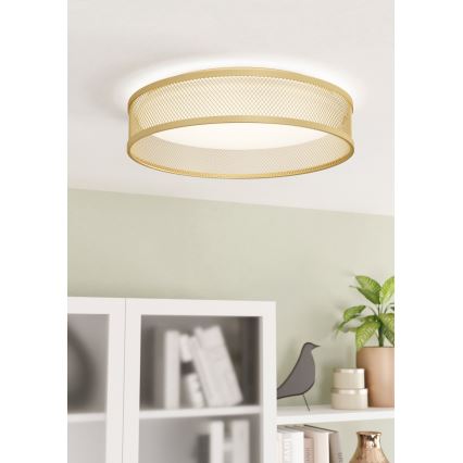 Eglo - LED Stropní svítidlo LED/20W/230V zlatá