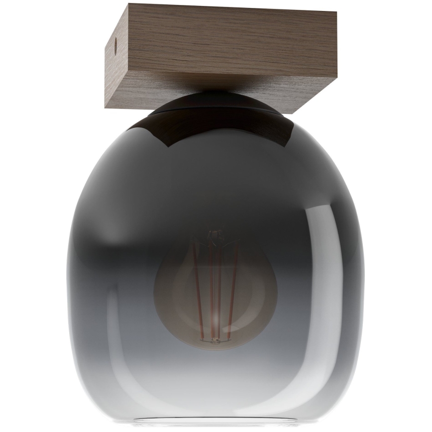 Eglo - Stropní svítidlo 1xE27/40W/230V
