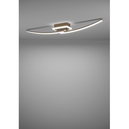 Eglo - LED Stropní svítidlo LED/12W/230V 4000K měděná