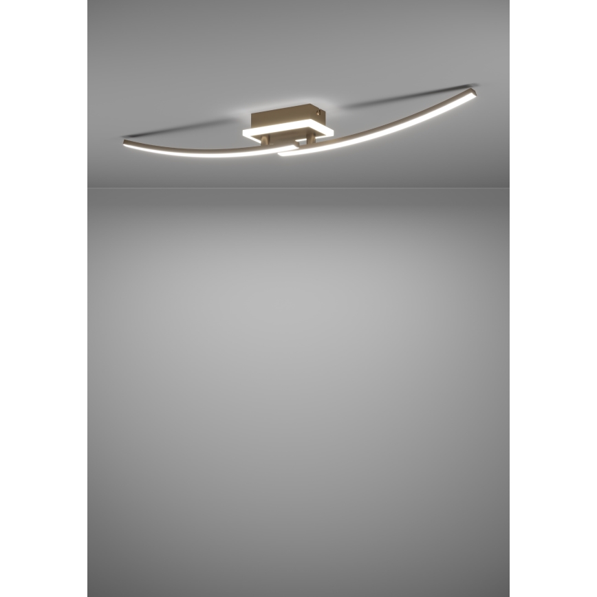 Eglo - LED Stropní svítidlo LED/12W/230V 4000K měděná