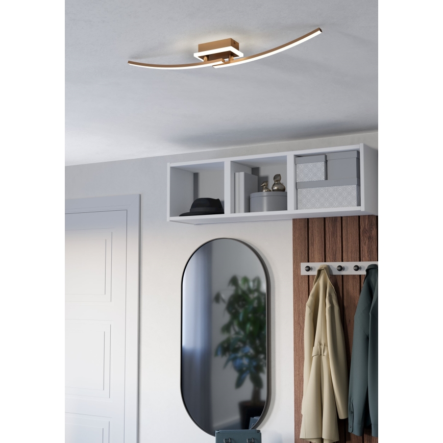 Eglo - LED Stropní svítidlo LED/12W/230V 4000K měděná