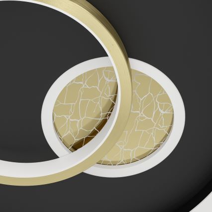 Eglo - LED Stropní svítidlo LED/14W/230V + LED/8,5W pr. 38 cm černá/zlatá