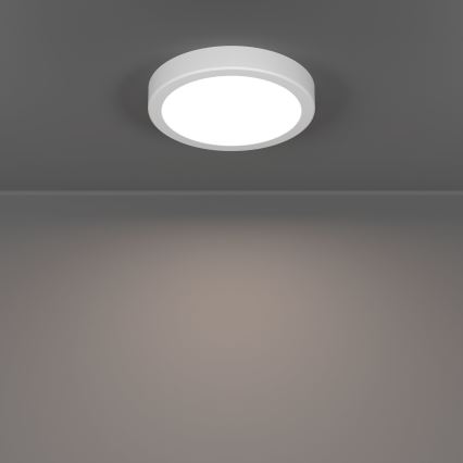 Eglo - LED Stropní svítidlo LED/7,5W/230V 2700/4000/6500K pr. 16,6 cm bílá