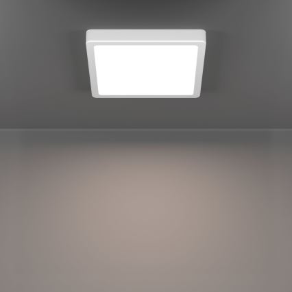 Eglo - LED Stropní svítidlo LED/10,5W/230V 2700/4000/6500K 22x22 cm bílá