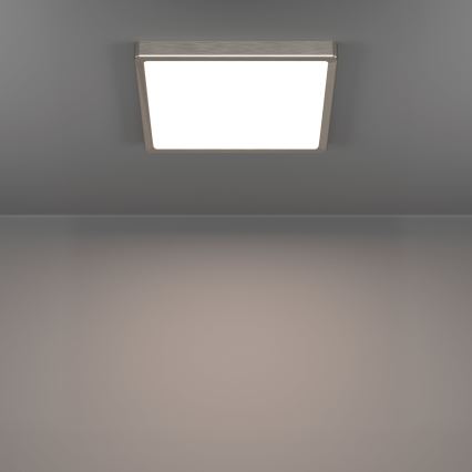 Eglo - LED Stropní svítidlo LED/13W/230V 2700/4000/6500K 29x29 cm matný chrom