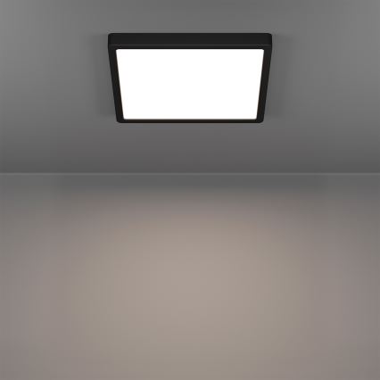 Eglo - LED RGBW Stmívatelné koupelnové stropní svítidlo LED/13,5W/230V 2700-6500K 29,5x29,5 cm IP44 černá