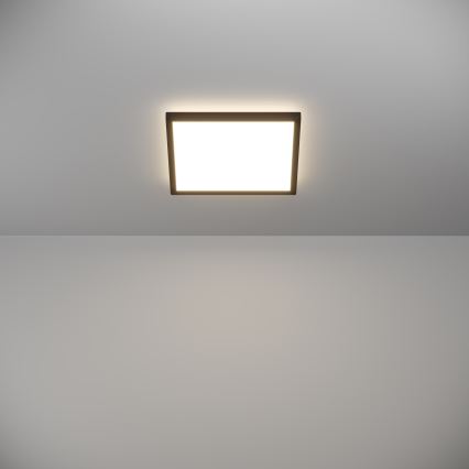 Eglo - LED Koupelnové stropní svítidlo LED/13,4W/230V 2700/4000/6500K 29x29 cm IP44 černá