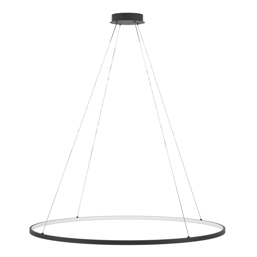 Eglo - LED Stmívatelný lustr na lanku LED/40W/230V 2700-6500K černá + dálkové ovládání
