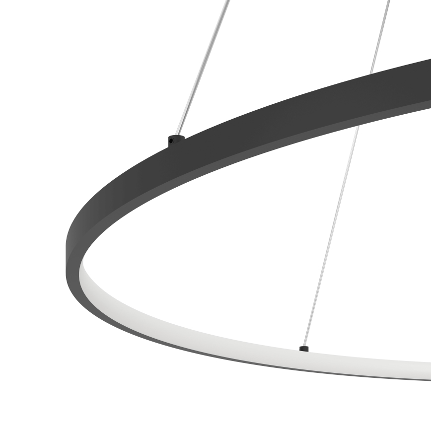 Eglo - LED Stmívatelný lustr na lanku LED/40W/230V 2700-6500K černá + dálkové ovládání