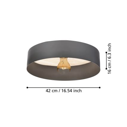 Eglo - Stropní svítidlo 1xE27/40W/230V šedá